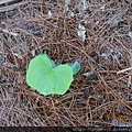 DSCN3519.JPG