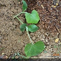 DSCN3521.JPG