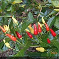 DSCN3594.JPG
