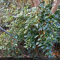 DSCN3595.JPG