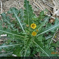 DSCN4863.JPG