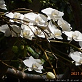 DSCN5013.JPG