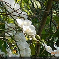 DSCN5012.JPG