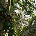 DSCN5011.JPG