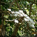 DSCN5010.JPG