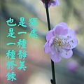 10IMG_1536.JPG