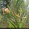 DSCN5180.JPG