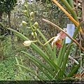 DSCN5179.JPG