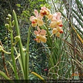 DSCN5178.JPG