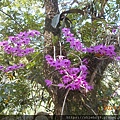 DSCN5331.JPG
