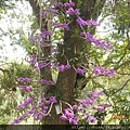 DSCN5339.JPG