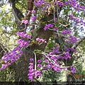 DSCN5330.JPG
