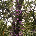 DSCN5337.JPG
