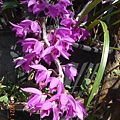 DSCN5328.JPG