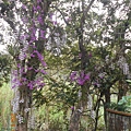 DSCN5479.JPG