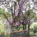 DSCN5468.JPG