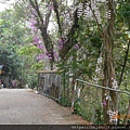 DSCN5466.JPG