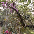 DSCN5471.JPG
