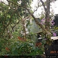 DSCN5467.JPG