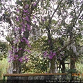 DSCN5469.JPG