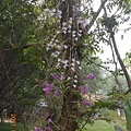 DSCN5472.JPG