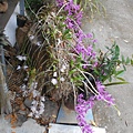 DSCN5474.JPG