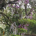 DSCN5477.JPG