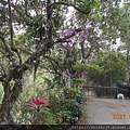 DSCN5476.JPG