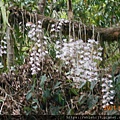 DSCN5475.JPG