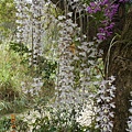 DSCN5480.JPG