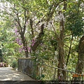 DSCN5483.JPG