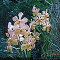 DSCN5493.JPG