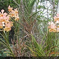 DSCN5495.JPG