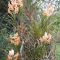 DSCN5492.JPG
