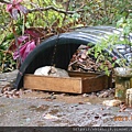 DSCN5558.JPG