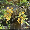 DSCN5622.JPG
