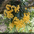 DSCN5619.JPG