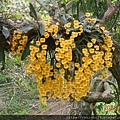 DSCN5618.JPG