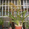 DSCN6004.JPG