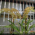 DSCN6089.JPG