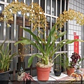 DSCN6151.JPG