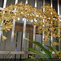 DSCN6152.JPG