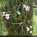 DSCN6168.JPG