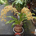 DSCN6425.JPG