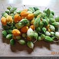 DSCN6487.JPG