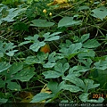 DSCN6482.JPG