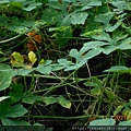 DSCN6481.JPG