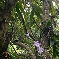 DSCN6490.JPG