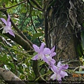 DSCN6492.JPG