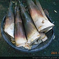 DSCN6663.JPG